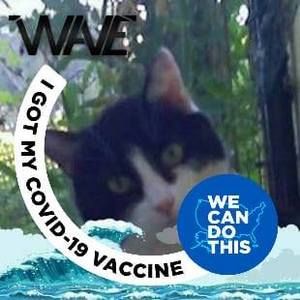 Meet your Posher, Kerry